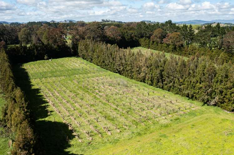 1374 Pipiwai Road Ruatangata_5