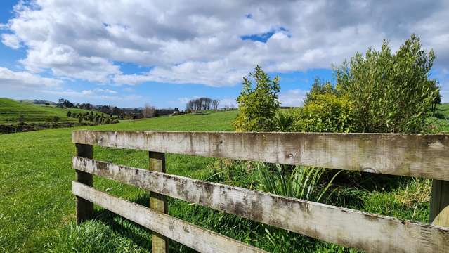 369 Tarata Road Inglewood_3