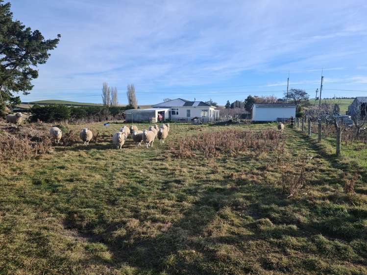 156 Airedale Road Weston_16