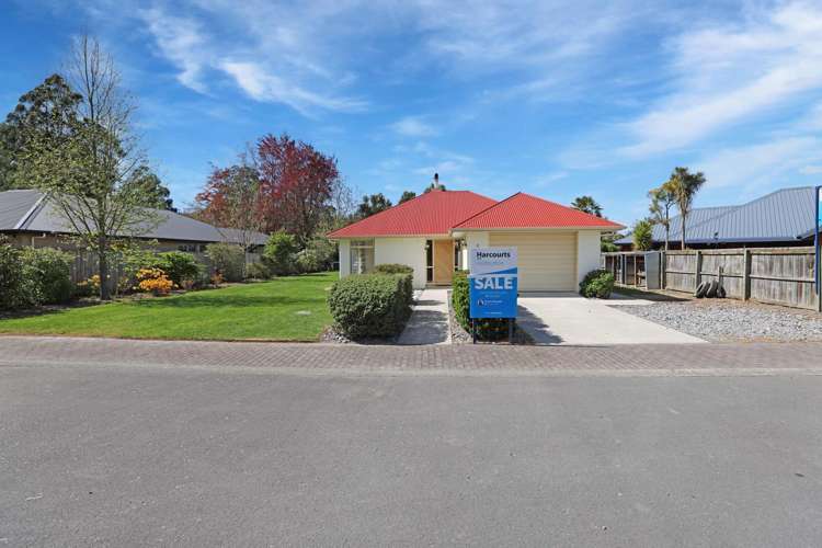 5 Birchside Lane Tinwald_34