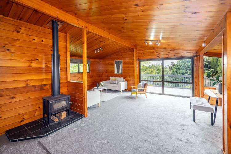156 Ellicott Road Nawton_6
