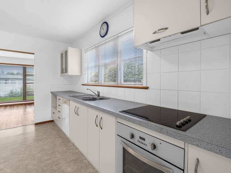 3 Roosevelt Street Levin_5