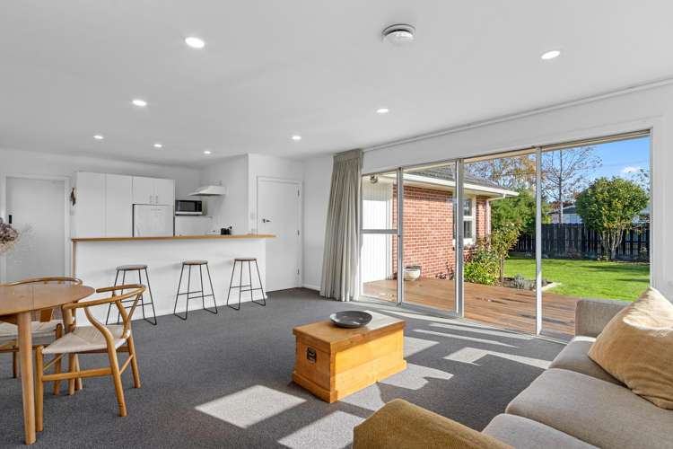 15 Wingate Street Redwood_9