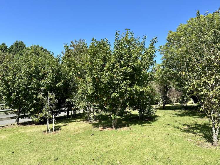 10 Heron Hill Kerikeri_32