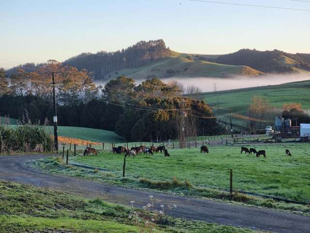 1540 Millbrook Road Taipuha_2