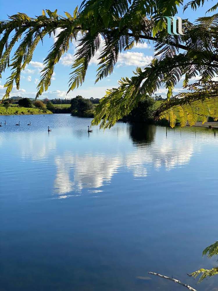 00 Waterfall Lane Kerikeri_26