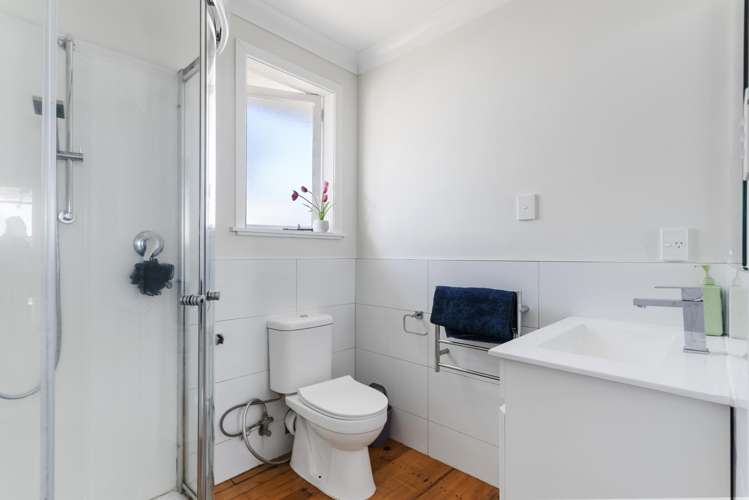 8 Gilliam Street New Lynn_12