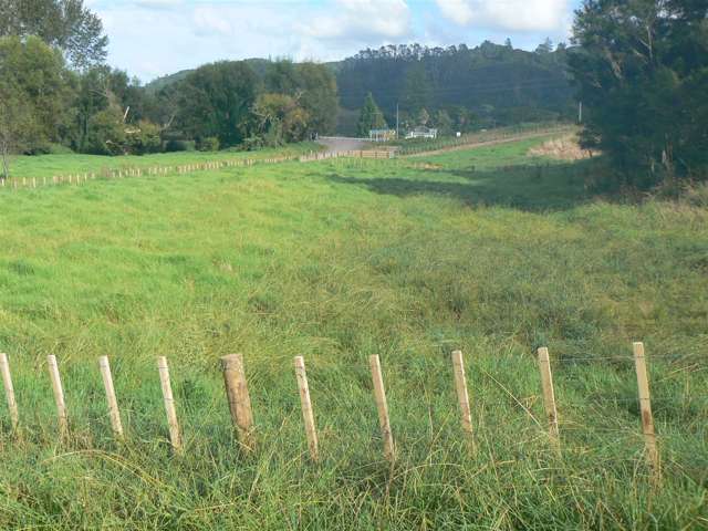 Yellow Blk/00 Doel Road Kawakawa_4