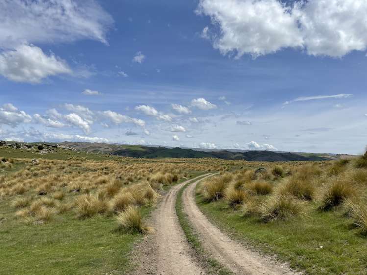 969 Nenthorn Road Moonlight_14