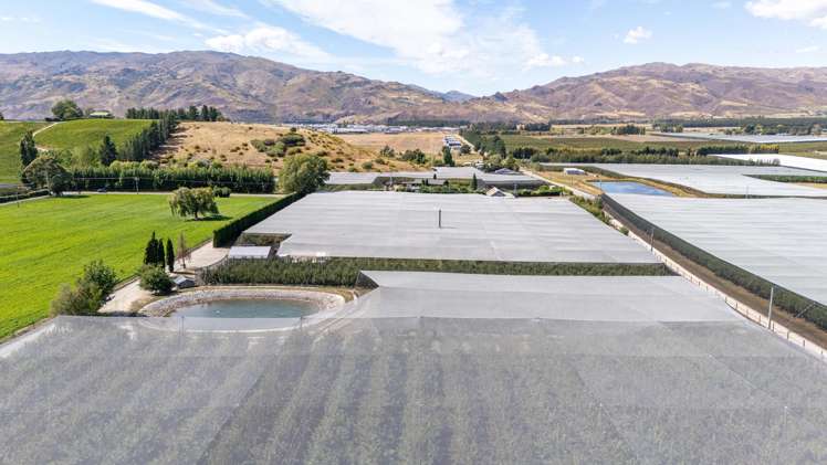 244A Ripponvale Road Cromwell_15