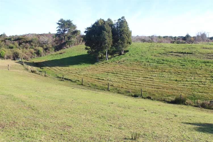 1000 Wilsons Lead Road Cape Foulwind_17