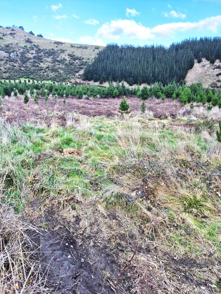 350 Reu Reu Road Halcombe_5