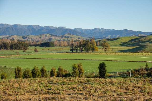 Lot 2 Bluff Rangitumau Road Masterton_1