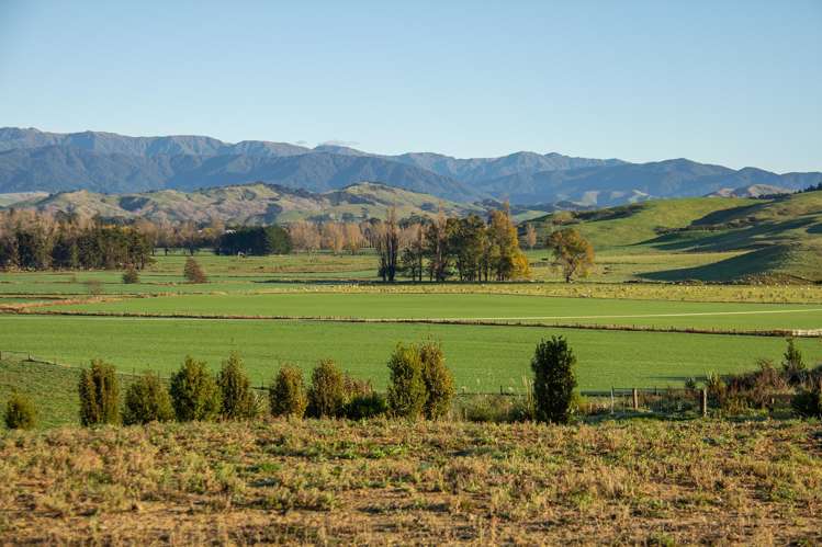 Lot 2 Bluff Rangitumau Road Masterton_1