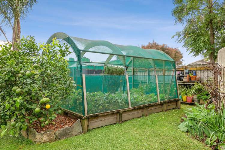 17 Kagan Avenue Mangawhai_13