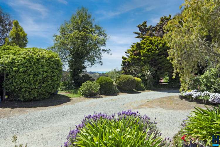 316 Old Coach Road Upper Moutere_24