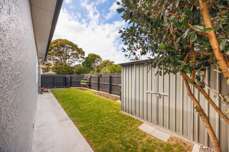 77b Guy Avenue Takaro_22