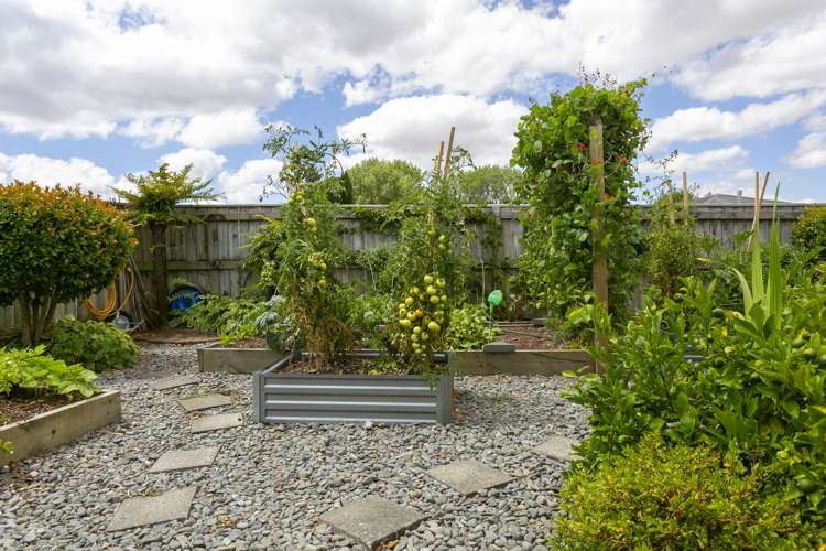 2 Vaucluse Drive Nukuhau_23