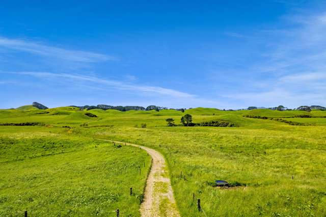 617 Parihaka Road Pungarehu_4