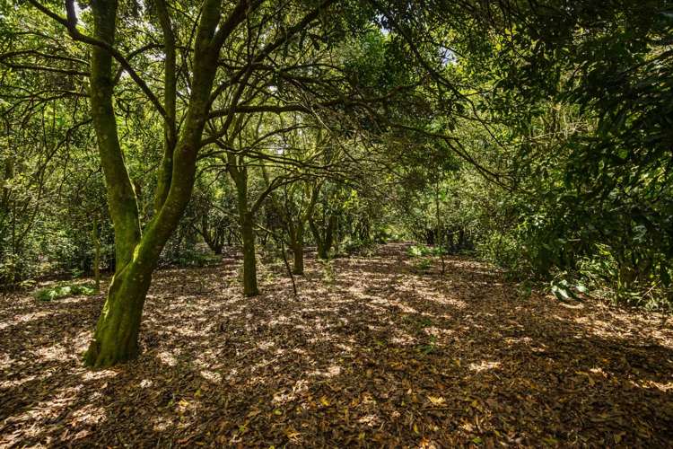 Lot 4 Horeke Road Okaihau_19