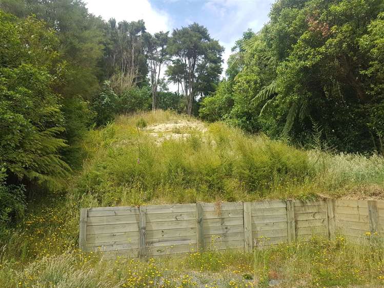 11 Matai Street Duncan Bay_11