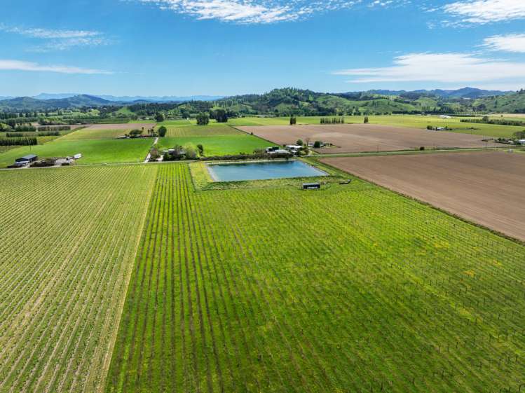 Whitmore Road Ormond_8