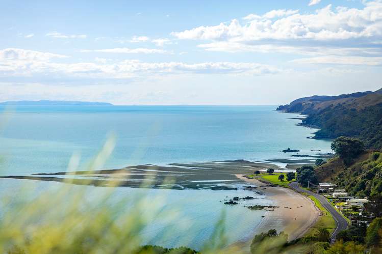 25d Tapu Coroglen Road Tapu_14