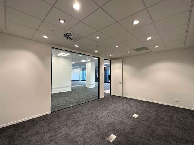 110 Carlton Gore Road Newmarket_3