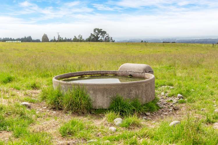 Steeles Road Hororata_9