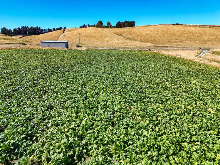 376 Whitestone Road Te Anau & Surrounds_14