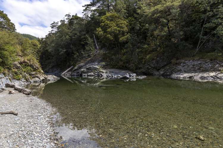 788 Wakamarina Road Havelock_49