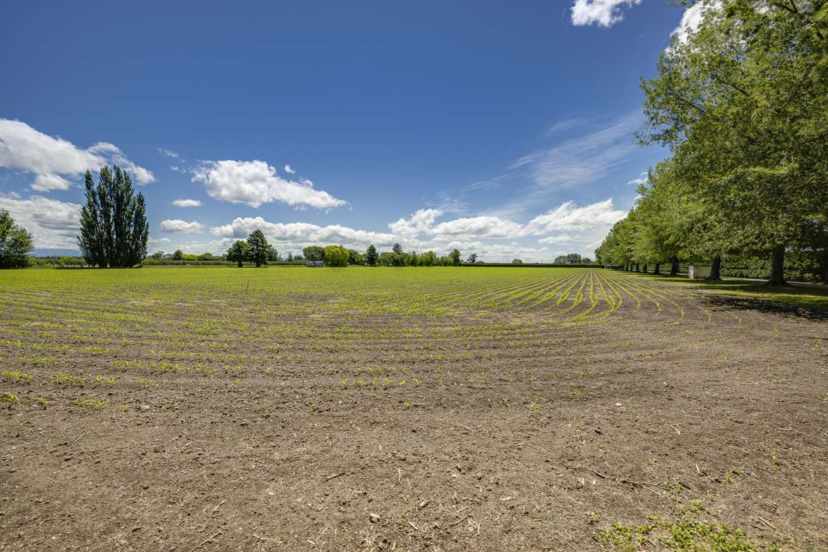 Lochiel - 105 Longlands Road West_2