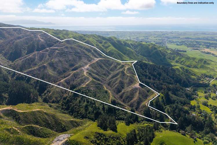 170 Mangaone North Road Te Horo_12