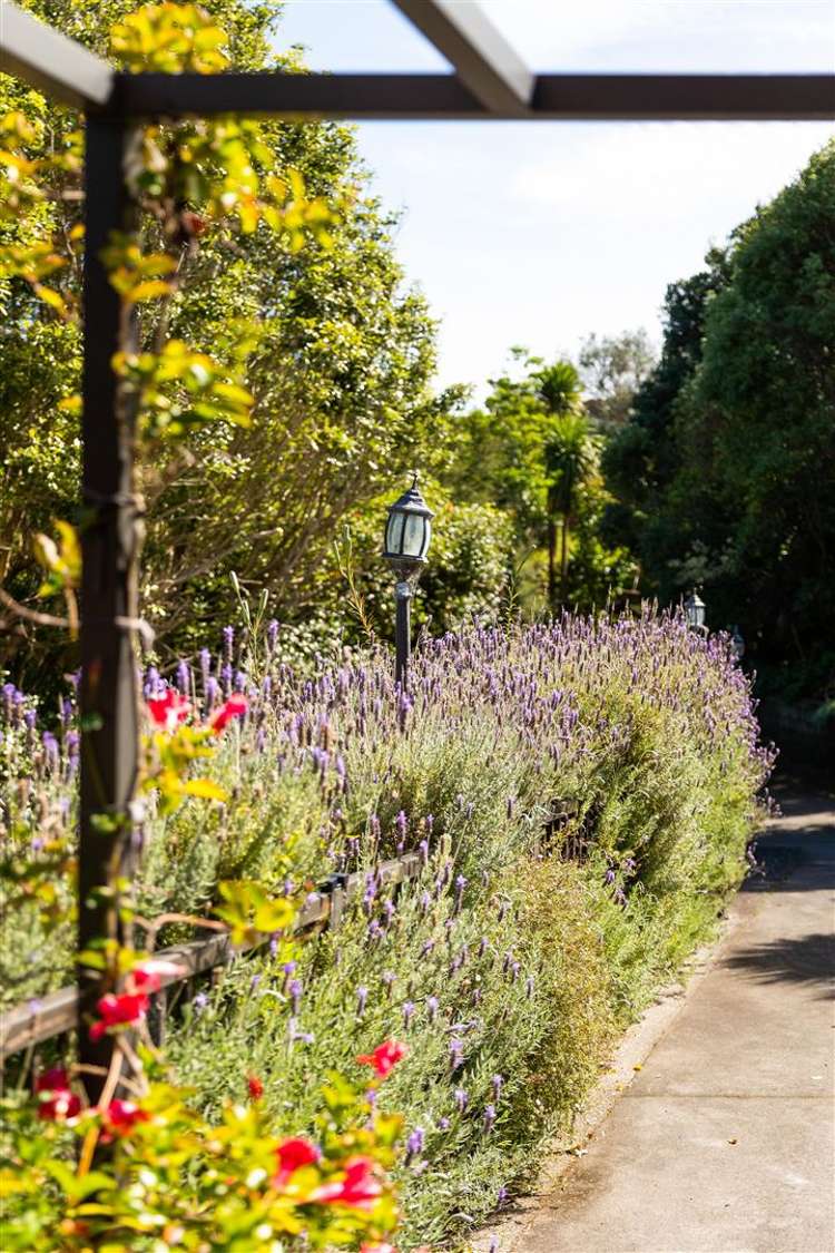 80 Koutunui Road Athenree_30