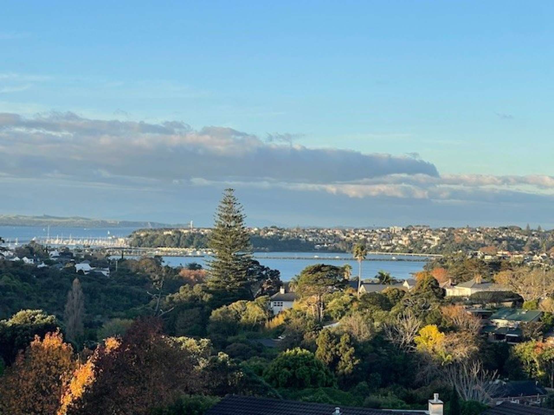 4c/36 James Cook Crescent Auckland_0