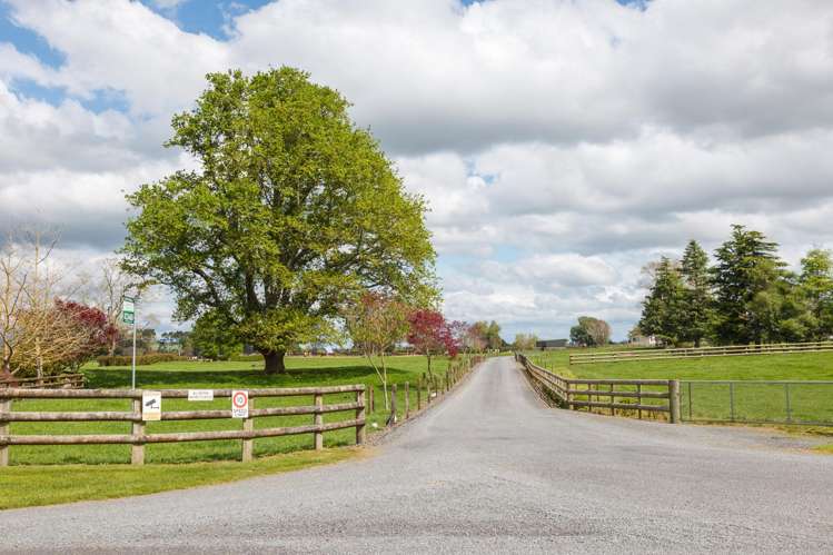 72 and 82 Harding Road Matamata_1