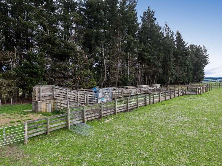 1680 Mahinerangi Road Waipori_12