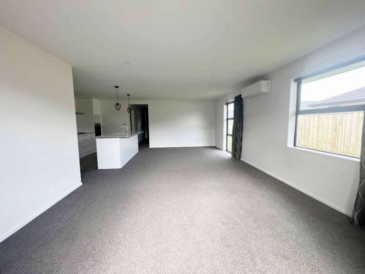 55 Bonecrusher Street Lincoln_5