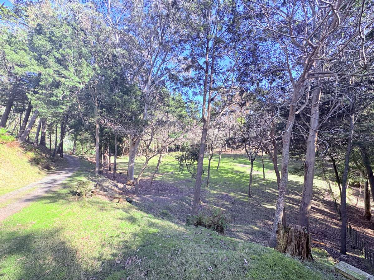 1793 Mohaka Coach Road_1