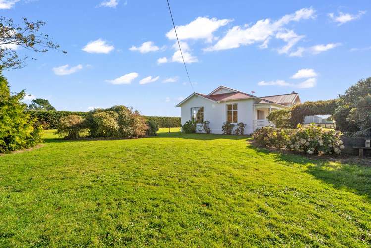 49 Roslyn Road Roslyn Bush_26