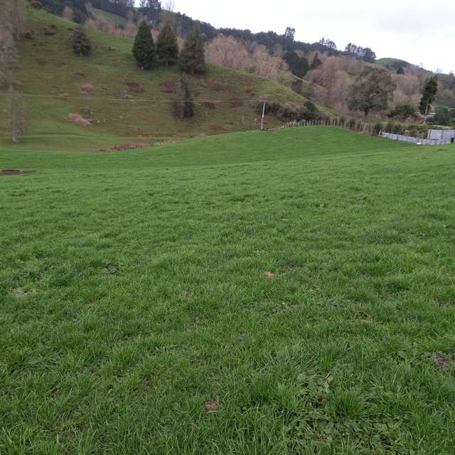 Lot 1, 627 Waitomo Valley Road Otorohanga_1