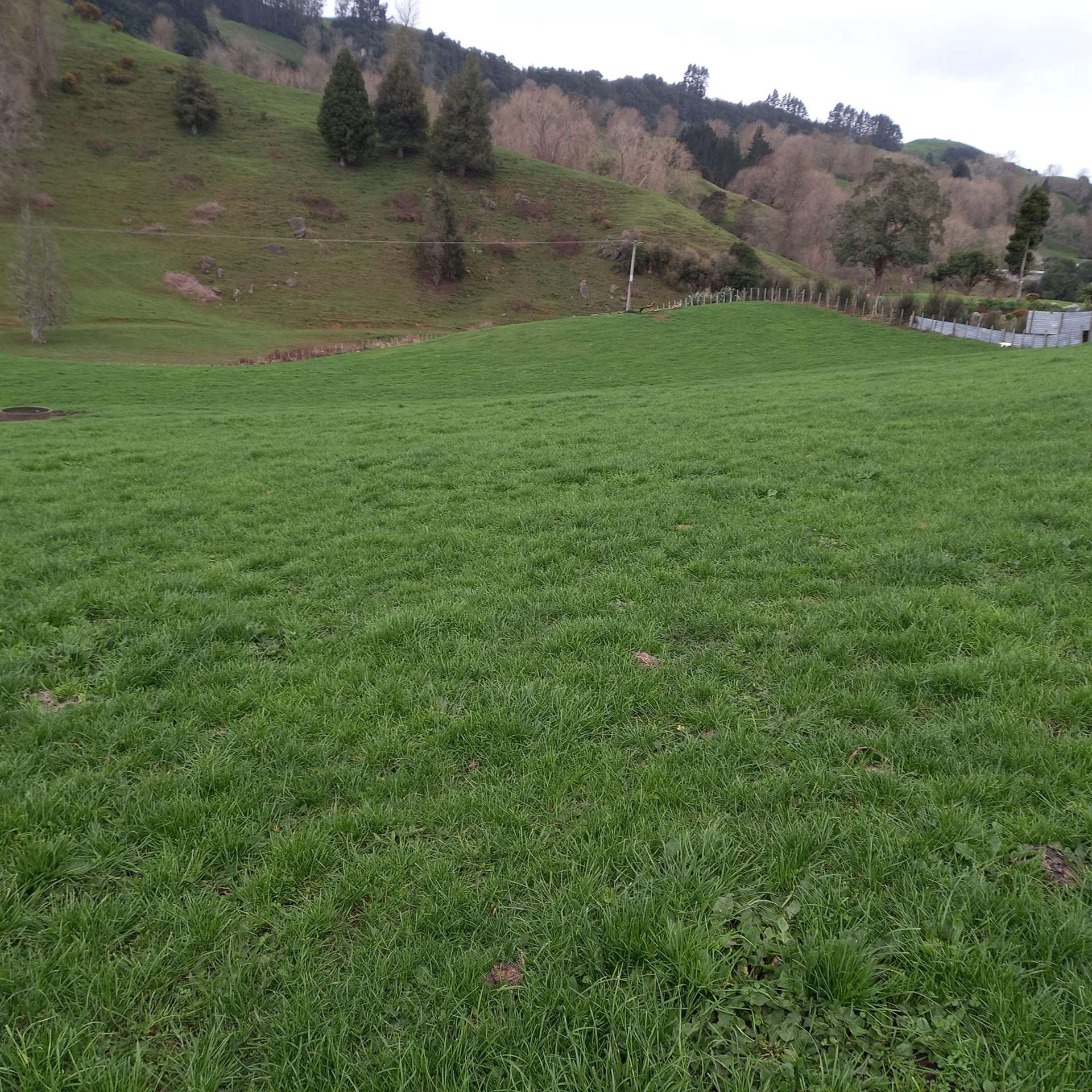 Lot 1, 627 Waitomo Valley Road Otorohanga_0
