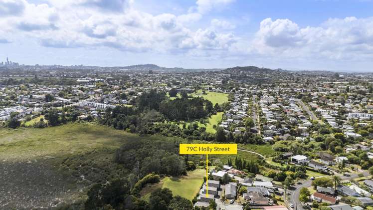 79c Holly Street Avondale_29