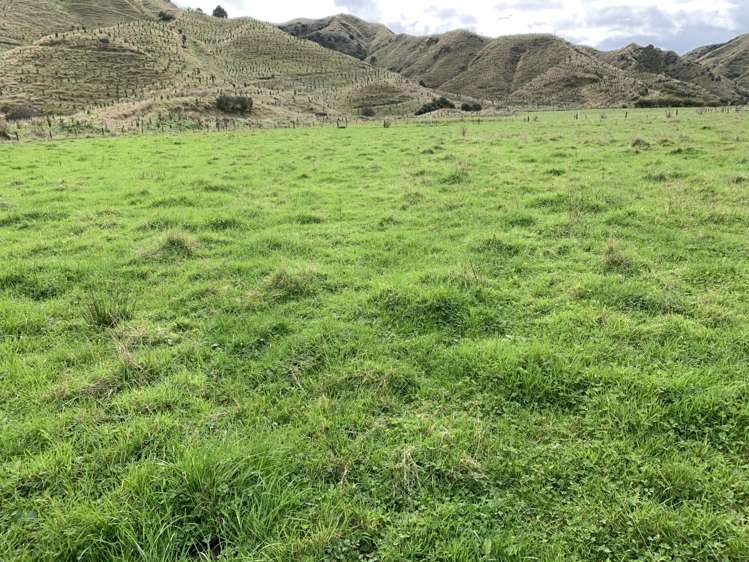 138 Quarry Road Stratford_10