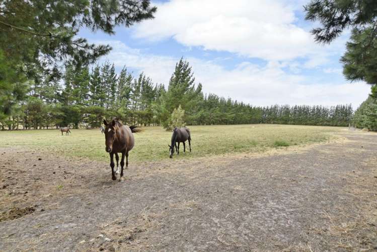 279 Balcairn Amberley Road Balcairn_17