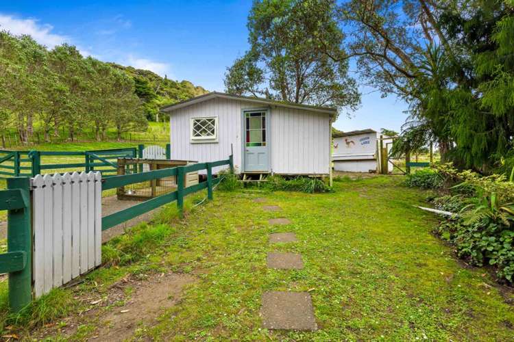 90 Lone Kauri Road Karekare_17