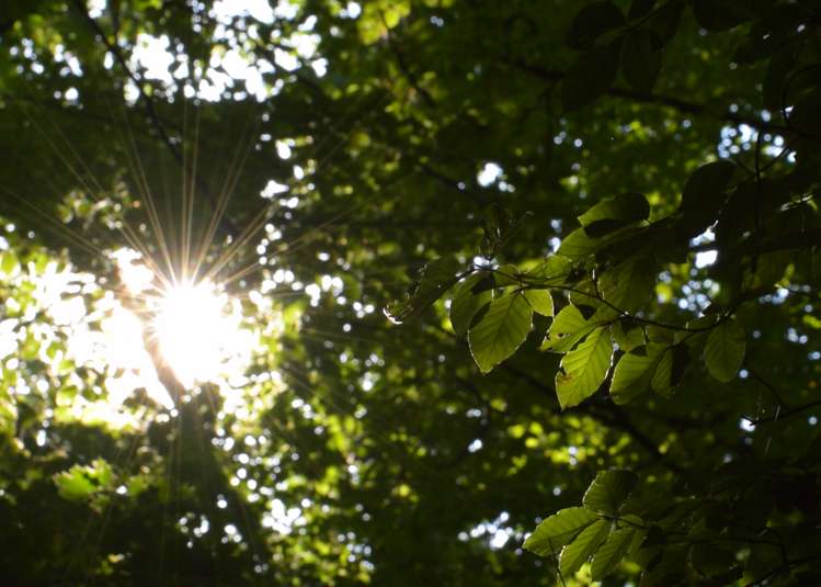 188 Taharepa Road Tauhara_26