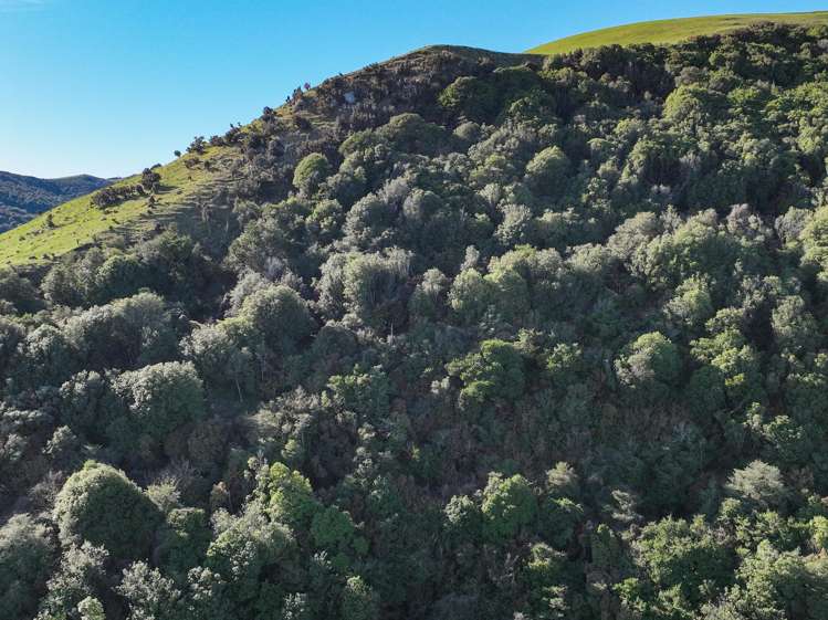 Hole and Corner Road Ferndale_5