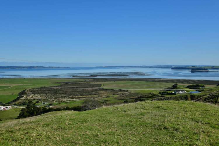 3356 Kaipara Coast Highway Glorit_42