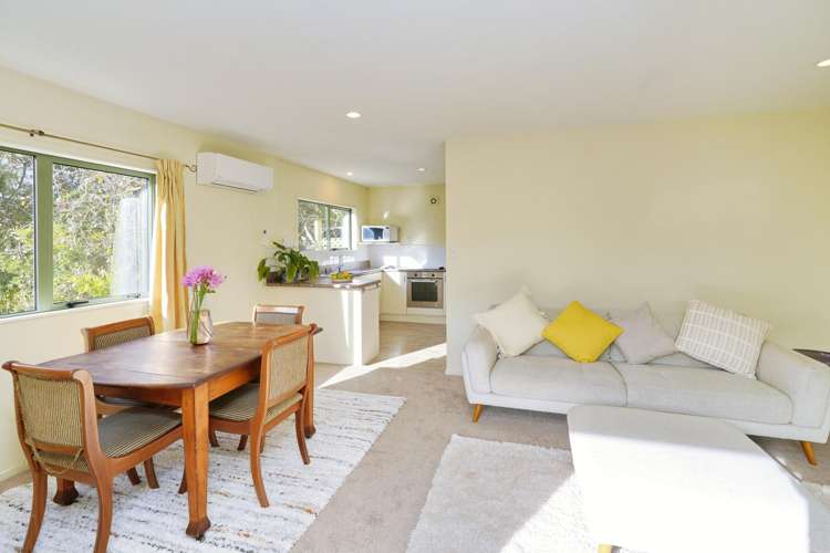 15a Terrace Road Leithfield_7